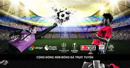 hinh-anh-colatv-dia-chi-xem-bong-da-truc-tuyen-so-1-viet-nam-191-1